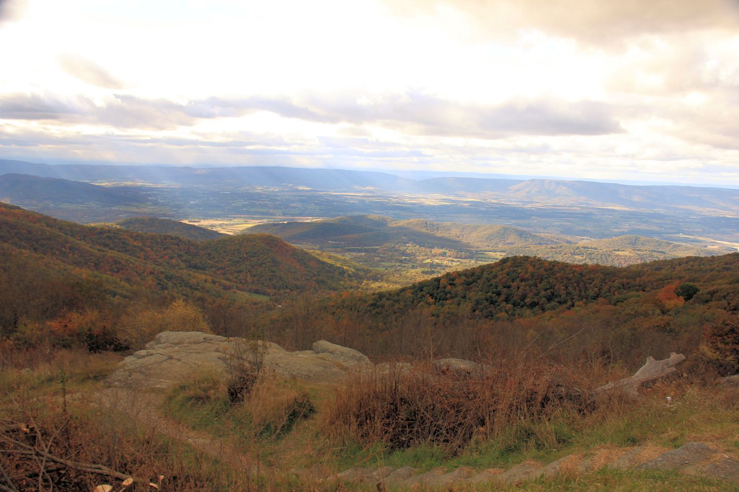 Hawksbill Trail 